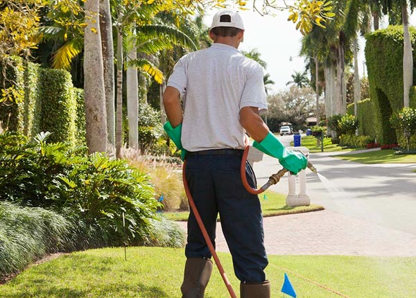 About Indian Rocks Beach FL Pest Control